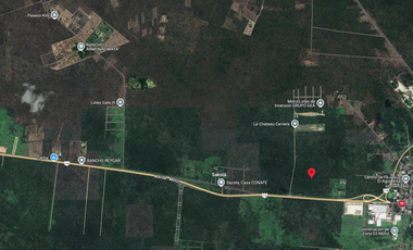 Terreno(65) Estratégico en Venta en Muxupip, Motul