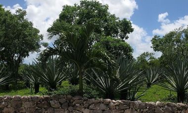 Terreno en Venta en Privada Hacienda San Diego Petz, Dzemul