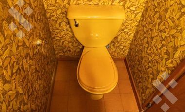 VENTA CASA 8 AMBIENTES   CASA DE HUÉSPEDES Y QUINCHO,  ALLEN-RÍO NEGRO