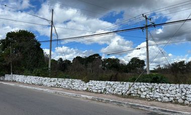 TERRENO COMERCIAL EN RENTA– EXCELENTE UBICACIÓN EN IZAMAL
