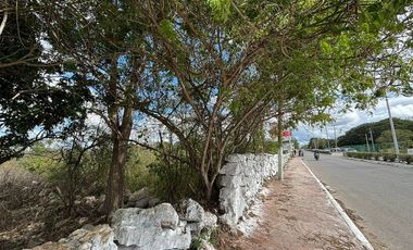 TERRENO COMERCIAL EN RENTA– EXCELENTE UBICACIÓN EN IZAMAL