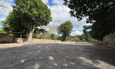 SE RENTA TERRENO / ESTACIONAMIENTO EN EL CENTRO DE IZAMAL