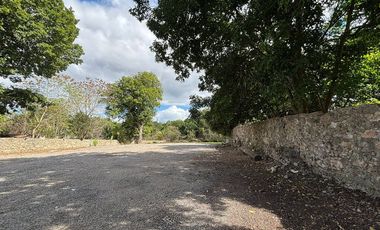 SE RENTA TERRENO / ESTACIONAMIENTO EN EL CENTRO DE IZAMAL