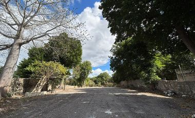 SE RENTA TERRENO / ESTACIONAMIENTO EN EL CENTRO DE IZAMAL