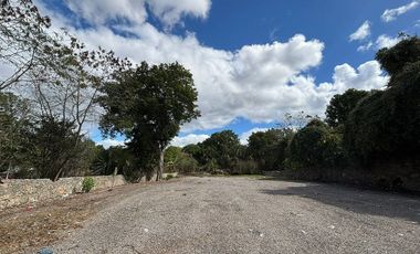 SE RENTA TERRENO / ESTACIONAMIENTO EN EL CENTRO DE IZAMAL