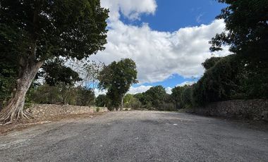 SE RENTA TERRENO / ESTACIONAMIENTO EN EL CENTRO DE IZAMAL
