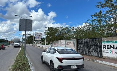 SE RENTA TERRENO EN IZAMAL, A PIE DE AVENIDA PRINCIPAL