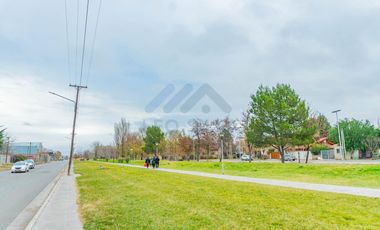 Departamento - Plottier