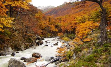 Casa - El Chalten