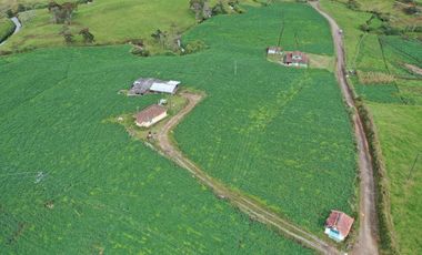 Finca en Venta – La Unión, Antioquia 7 cuadras