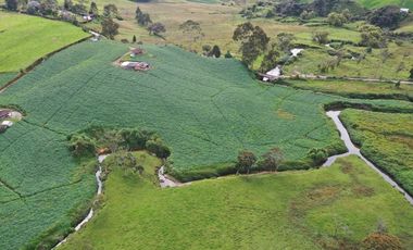 Finca en Venta – La Unión, Antioquia 7 cuadras