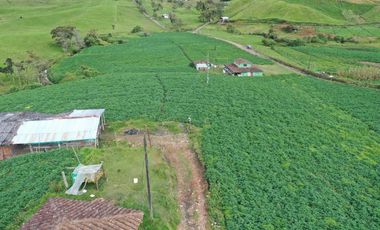 Finca en Venta – La Unión, Antioquia 7 cuadras