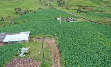 Finca en Venta – La Unión, Antioquia 7 cuadras
