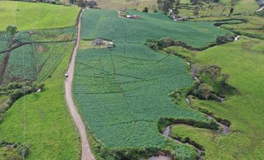 Finca en Venta – La Unión, Antioquia 7 cuadras