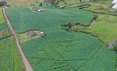 Finca en Venta – La Unión, Antioquia 7 cuadras