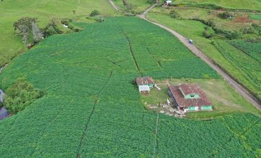 Finca en Venta – La Unión, Antioquia 7 cuadras
