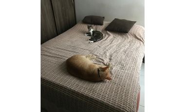 Apartamento en Venta, Itagüí Antioquia