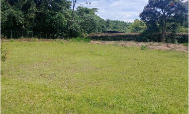 Lote plano en venta sector Circasia