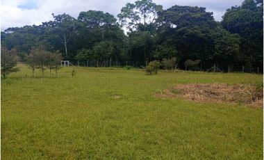 Lote plano en venta sector Circasia