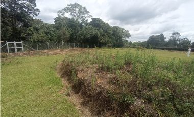 Lote plano en venta sector Circasia