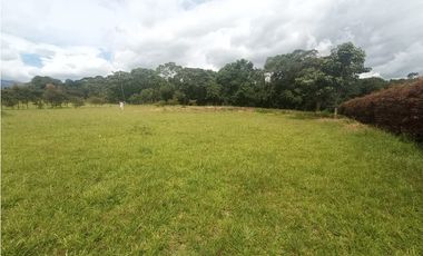 Lote plano en venta sector Circasia