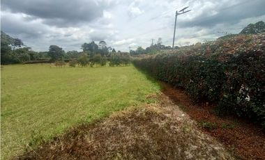 Lote plano en venta sector Circasia