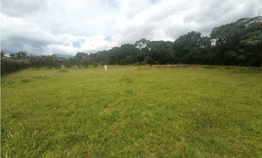 Lote plano en venta sector Circasia