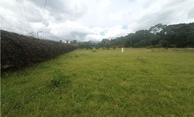 Lote plano en venta sector Circasia