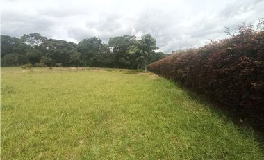 Lote plano en venta sector Circasia