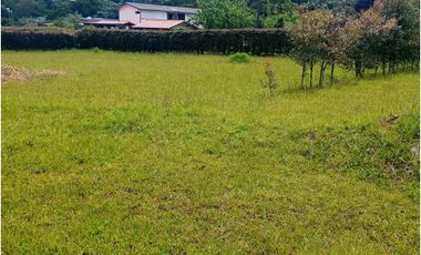 Lote plano en venta sector Circasia