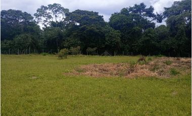 Lote plano en venta sector Circasia