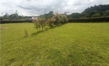 Lote plano en venta sector Circasia