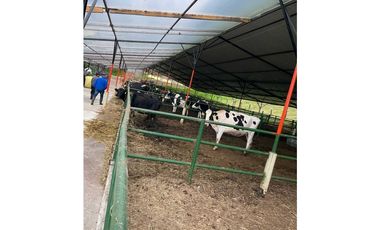 Venta Finca en Sesquile