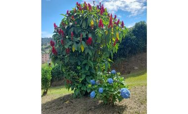 LOTE EN CALDAS ANTIOQUIA - PARA PROYECTO DE VIVIENDA