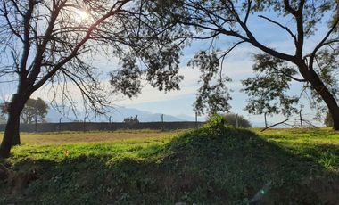 Terreno en  venta en Terranova Country Life, San Pablo