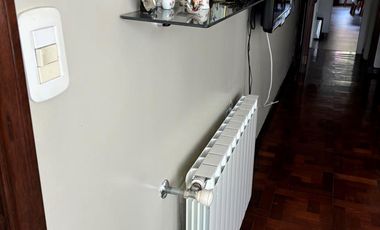 Chalet en 1 planta reciclado, jardín. La Lucila.