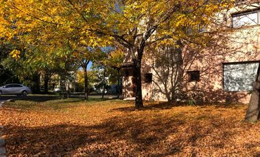 Casa en alquiler - 300 m2 - 5 ambientes