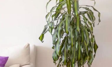 Excelente Depto en Martínez - Vista al Rio -