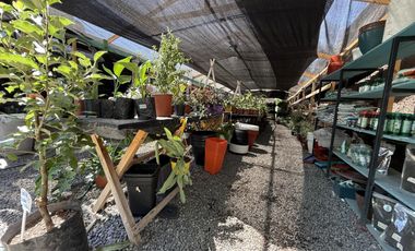 Se Arrienda Casa con gran terreno de 500 m2, apta uso comercial