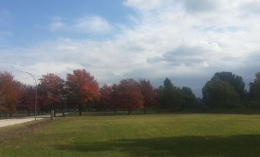 Terreno - Villa Allende.