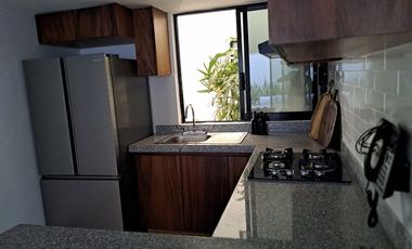 Departamento Palmas Zihutanejo