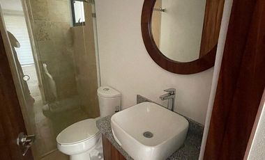 Departamento Palmas Zihutanejo