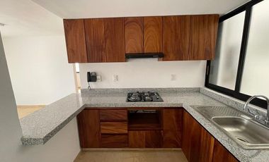 Departamento Palmas Zihutanejo