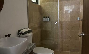 Departamento Palmas Zihutanejo