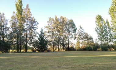 Chacra de 7 hectáreas con importantes mejoras