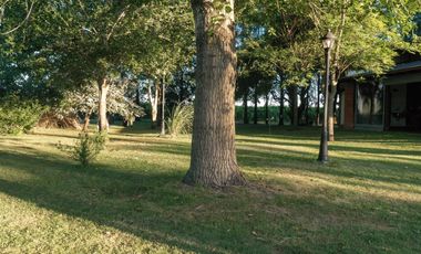 Chacra de 7 hectáreas con importantes mejoras