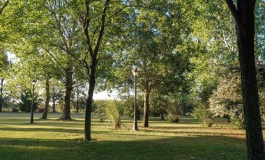 Chacra de 7 hectáreas con importantes mejoras