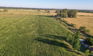 Chacra de 7 hectáreas con importantes mejoras