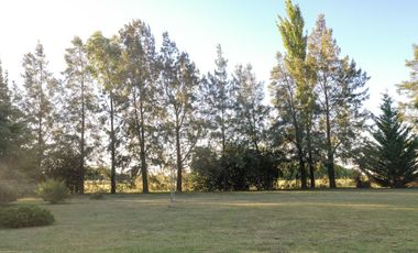 Chacra de 7 hectáreas con importantes mejoras