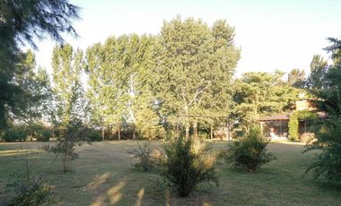 Chacra de 7 hectáreas con importantes mejoras